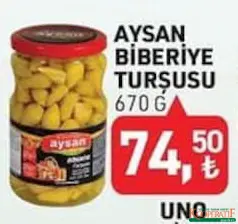 AYSAN BİBERİYE TURŞUSU 670 G indirimli fiyat AYSAN BİBERİYE TURŞUSU 670 G fiyat ve kampanya bilgisi